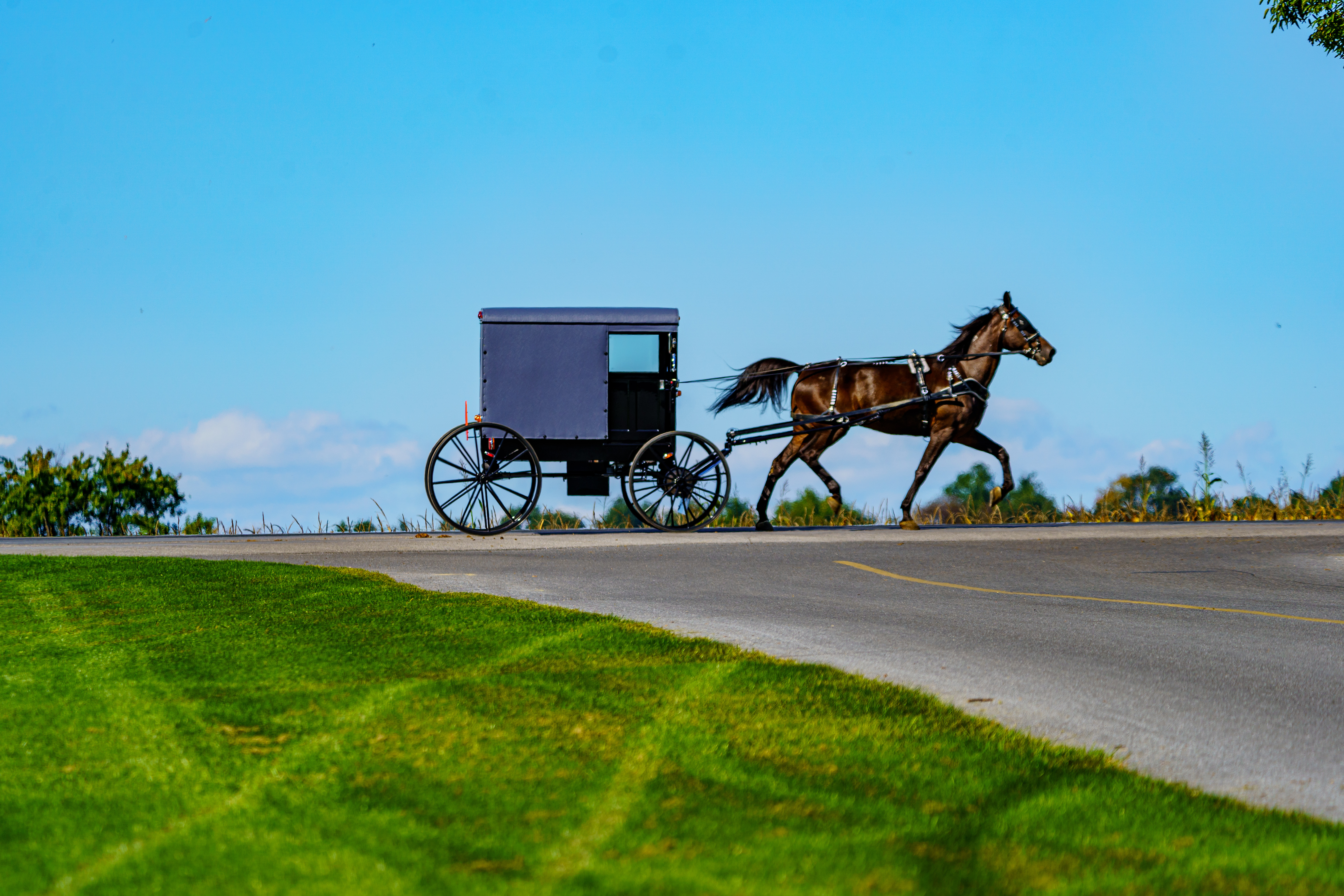A horse and buggy on a Central Pennsylvania road