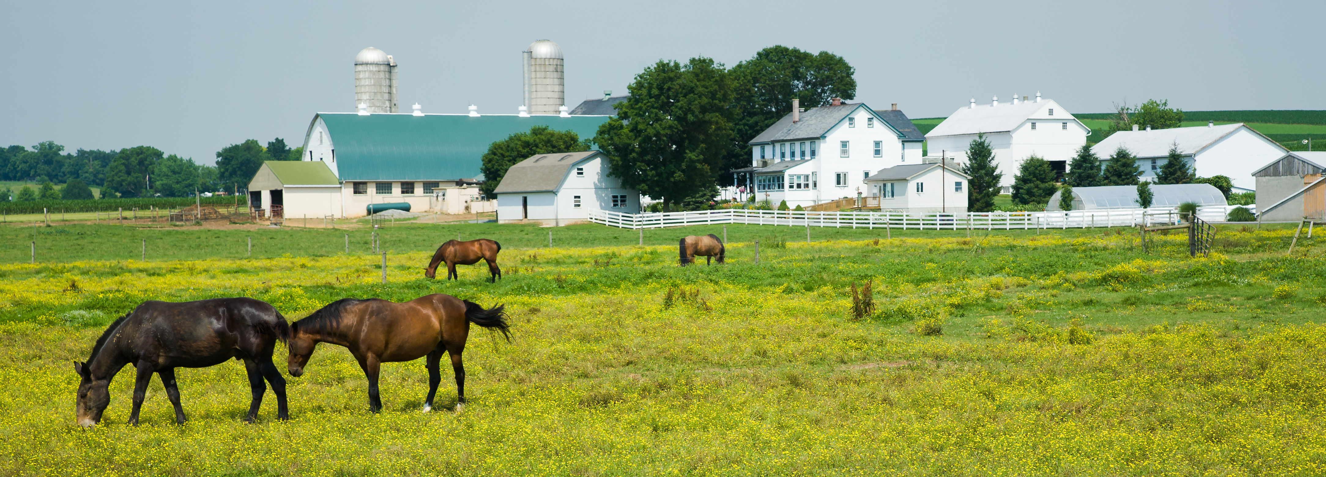 Central Pennsylvania farmland